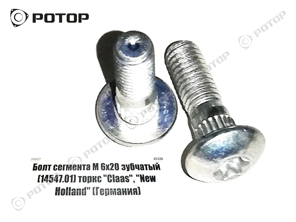 Болт сегмента М 6х20 зубчатый (14547.01) торкс 